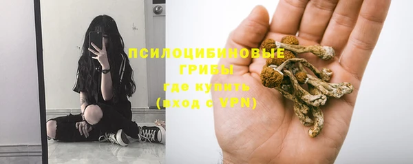 спайс Аркадак
