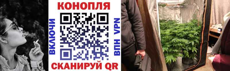 Каннабис OG Kush  цена   Карабулак 